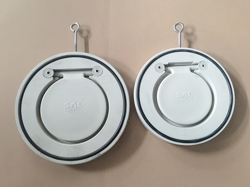 PPH对夹式旋启止回阀